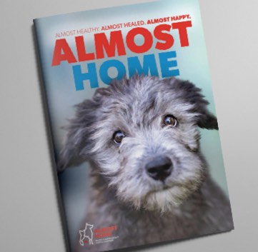 Photo of Almost Home Campaign Brochure